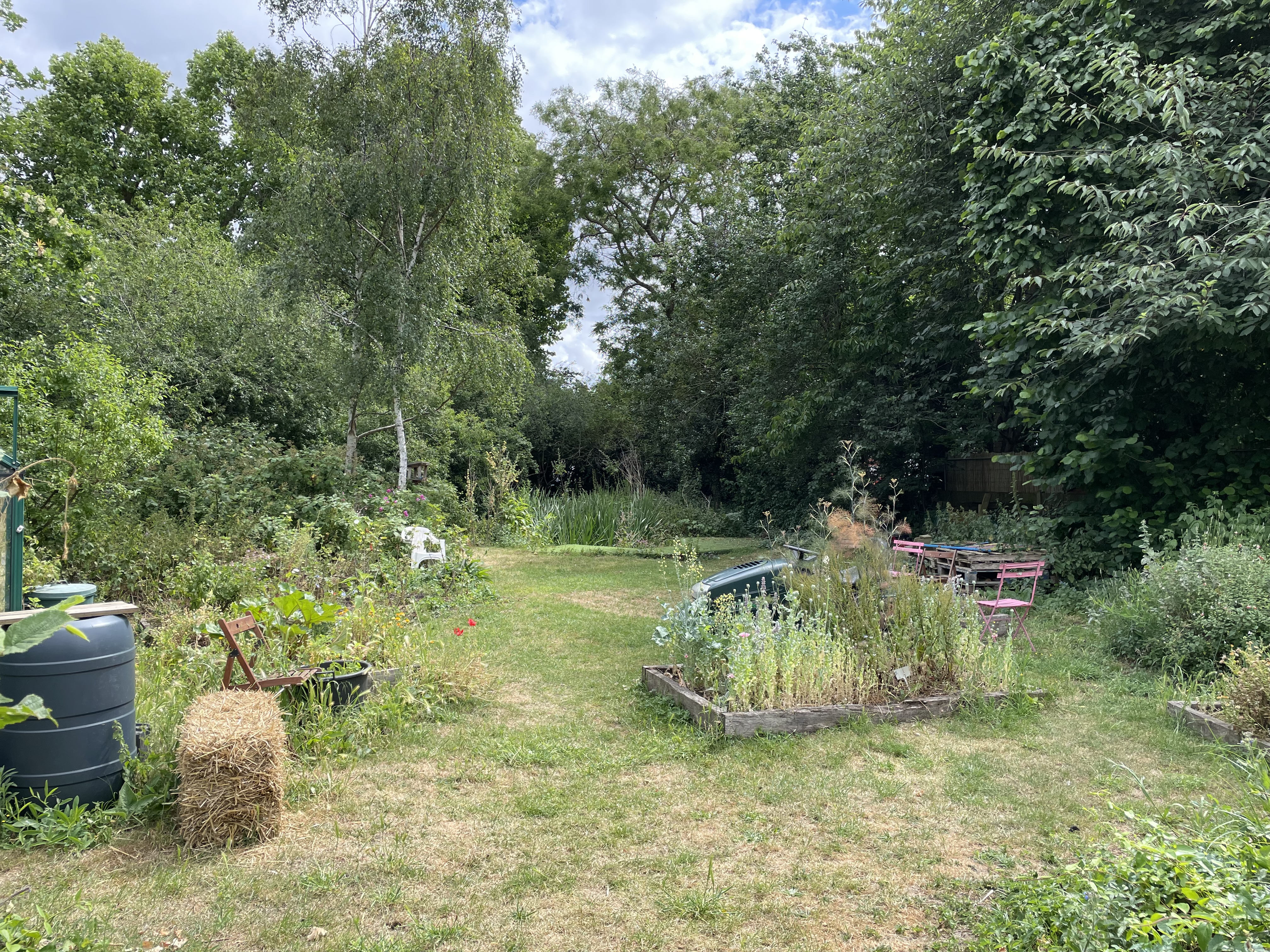 Sulivan's wild garden